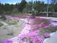 蛇の尾公園