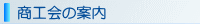 ���u�s���H��̏Љ�